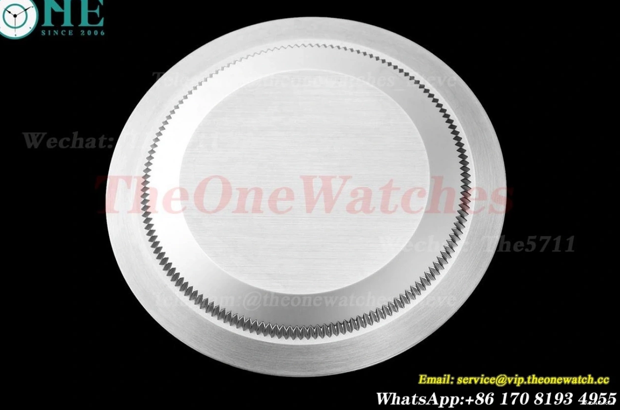 Black Explorer 40mm SS VS3230 224270 SS Dial VSF I 0129